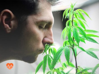 Детоксикация от марихуаны в Свирске